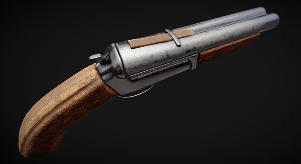 Pirate Shotgun — Galeri 1